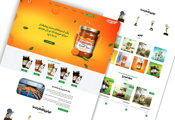 Web Design Shidrokh Preview 3